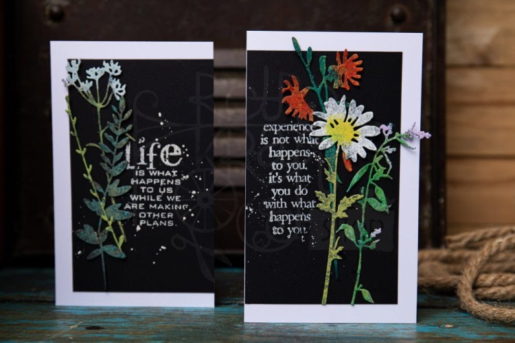 Wykrojnik Thinlits Vault Wildflowers by Tim Holtz 666565 Sizzix
