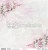 Papier do scrapbookingu 30x30 Pink Roses 01/02 ScrapAndMe