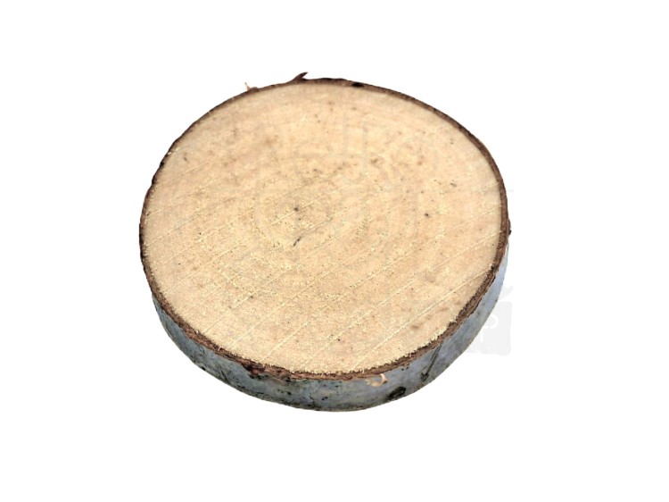 Plaster drewna brzoza 6cm