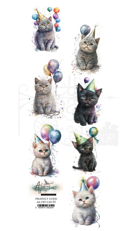 Pasek 5x30 Koty AA-EXT-CAT-01 Alchemy of Art