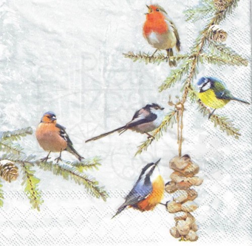 Serwetka 33x33 - Zimowe ptaszki