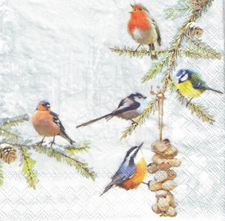 Serwetka 33x33 - Zimowe ptaszki