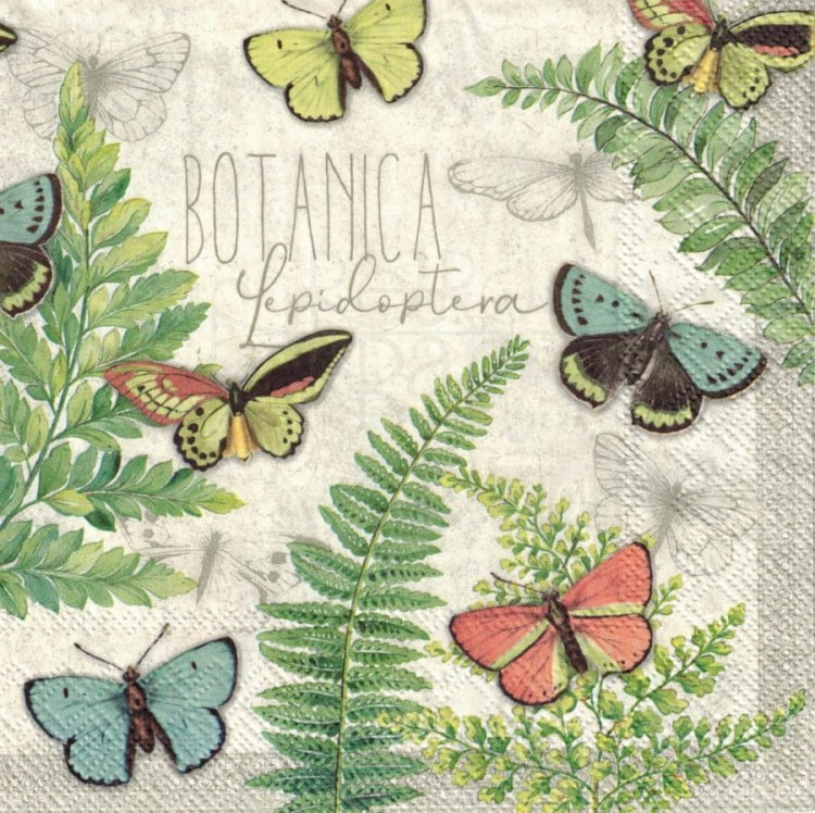 Serwetka 33x33 - Motyle i liście paproci
