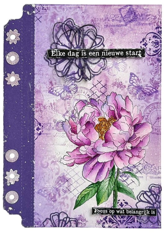 Zestaw stempli Timeless peony Victorian Dreams Peonie JMA-VD-STAMP610 StudioLight