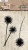 Stempel silikonowy Natures Dream Meadow Burst Łąka HE-ND-STAMP523 StudioLight