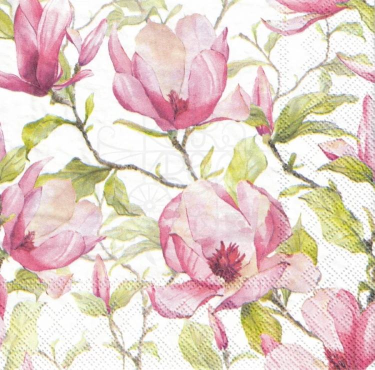 Serwetka 33x33 - Kwiat kwitnąca magnolia