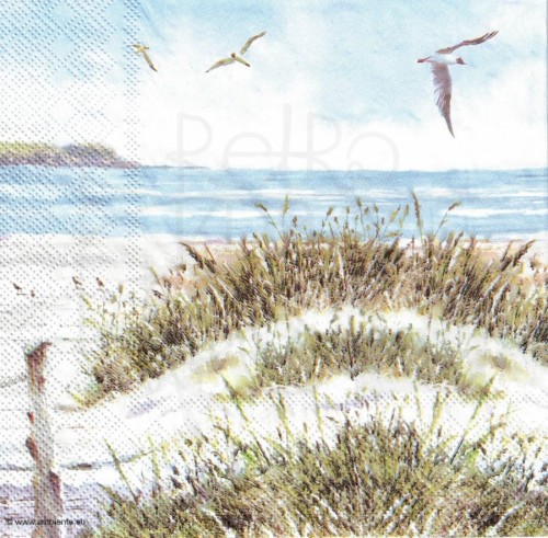 Serwetka 33x33 - Rower na plaży