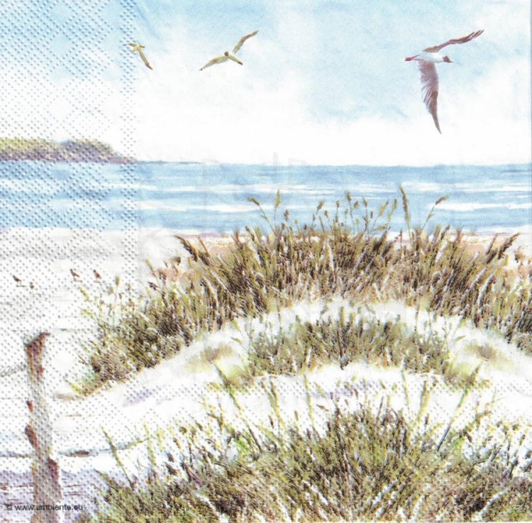 Serwetka 33x33 - Rower na plaży