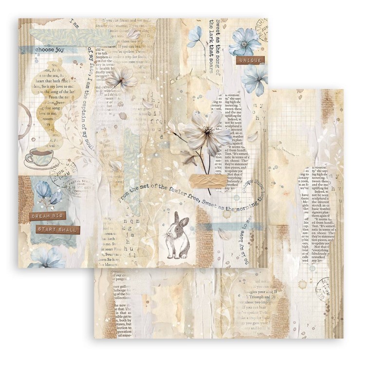 Zestaw papierów do scrapbookingu 20x20 Create Happiness Secret Diary SBBS103 Stamperia
