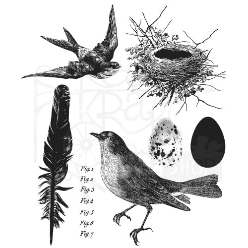 Stempel gumowy kauczukowy Bird Feather CMS180 Stampers Anonymous