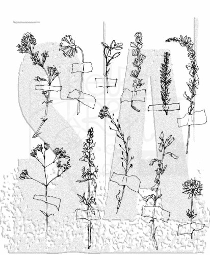 Stempel gumowy kauczukowy Forgotten Garden CMS 1G62Z Tim Holtz Stampers Anonymous
