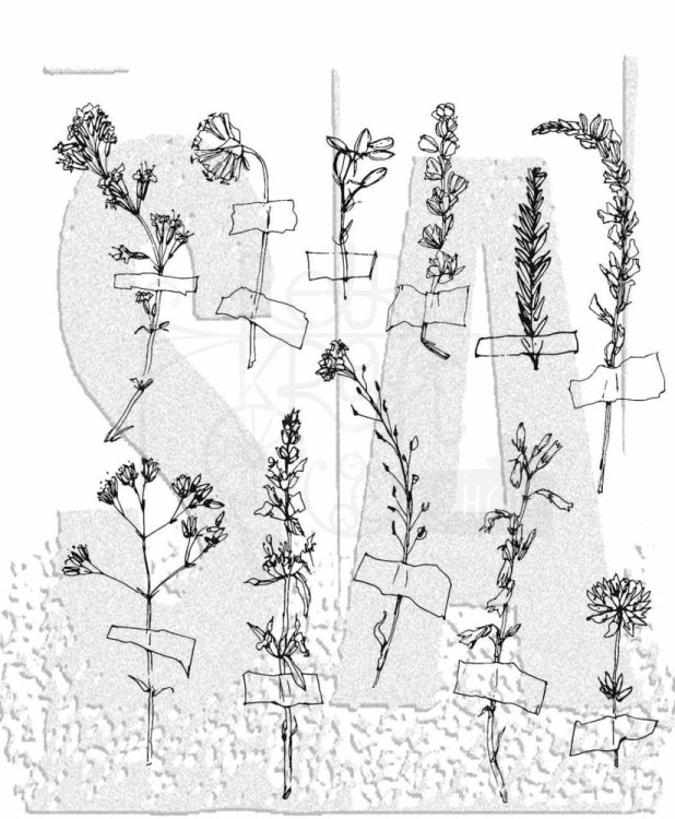 Stempel gumowy kauczukowy Forgotten Garden CMS 1G62Z Tim Holtz Stampers Anonymous