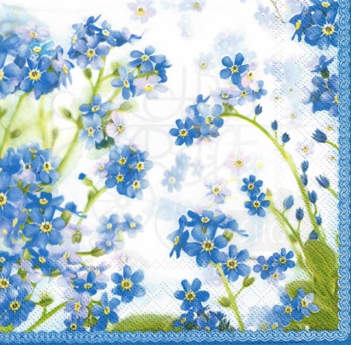 Serwetka 33x33 - Niezapominajki