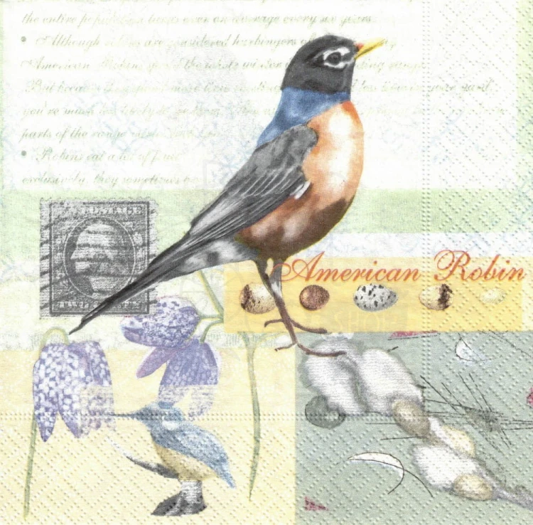 Serwetka 33x33 - Ptak American Robin