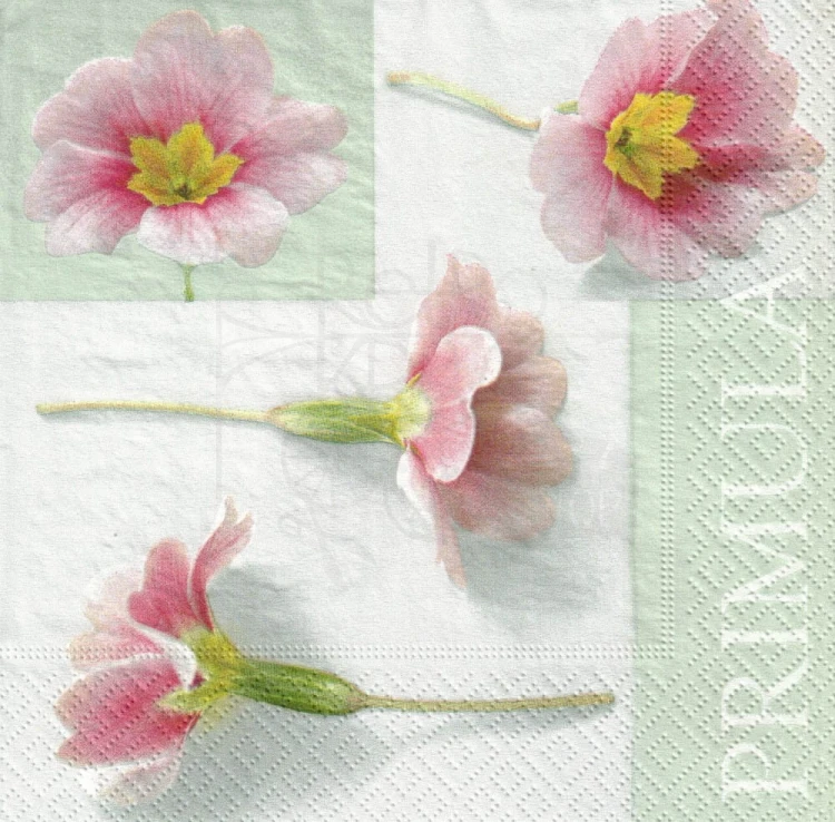 Serwetka 33x33 - Kwiat pierwiosnek
