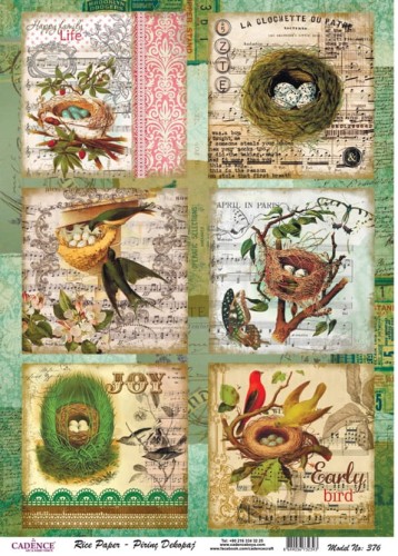 Papier ryżowy do decoupage A4 Ptaki w gniazdach PR0376 Cadence