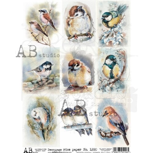 Papier ryżowy do decoupage A4 Ptaki - 9 kart ID-1280 ABstudio