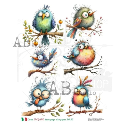 Papier ryżowy do decoupage A4 Śmieszne ptaszki NO.63 Carte Italiano
