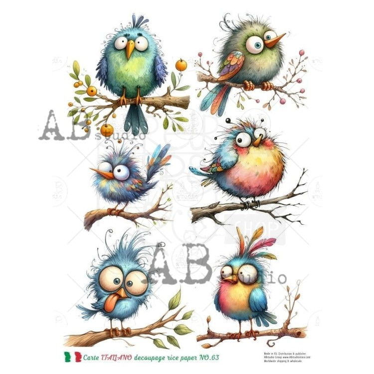 Papier ryżowy do decoupage A4 Śmieszne ptaszki NO.63 Carte Italiano