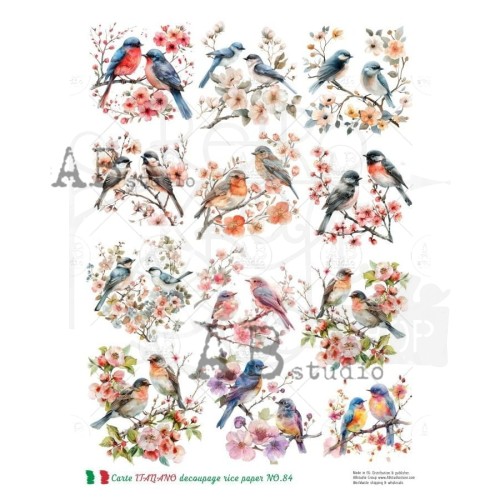Papier ryżowy do decoupage A4 Ptaki NO.84 Carte Italiano