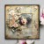 Zestaw papierów do scrapbookingu 20x20 Chateau Rose CEPP0030 Creative Expressions