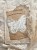 Stemple akrylowe Dates From The Past Part 2 napisy retro CEC1021 Creative Expressions
