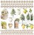 Zestaw papierów do scrapbookingu 30x30 Sunny Blooms ScrapAndMe