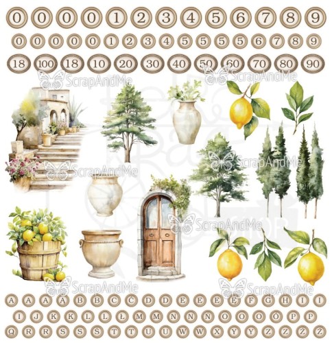 Papier do scrapbookingu 30x30 Sunny Blooms Okładka ScrapAndMe