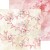 Zestaw papierów do scrapbookingu 20x20 Girl &amp; Curl Mix CC-C65-GC-09 Craft O’Clock