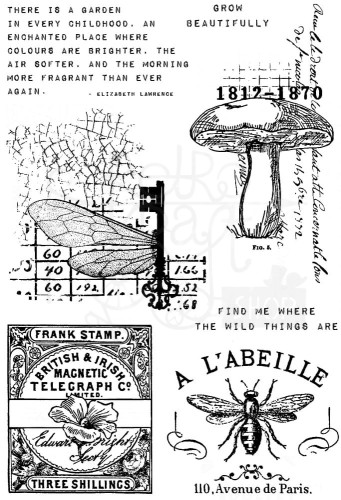 Stempel akrylowy 15x10cm Snippets Of Nature CEC1029 Creative Expressions