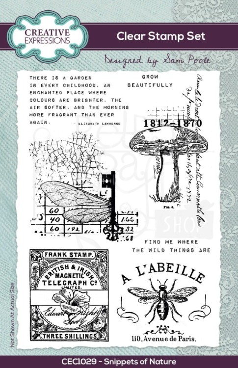 Stempel akrylowy 15x10cm Snippets Of Nature CEC1029 Creative Expressions