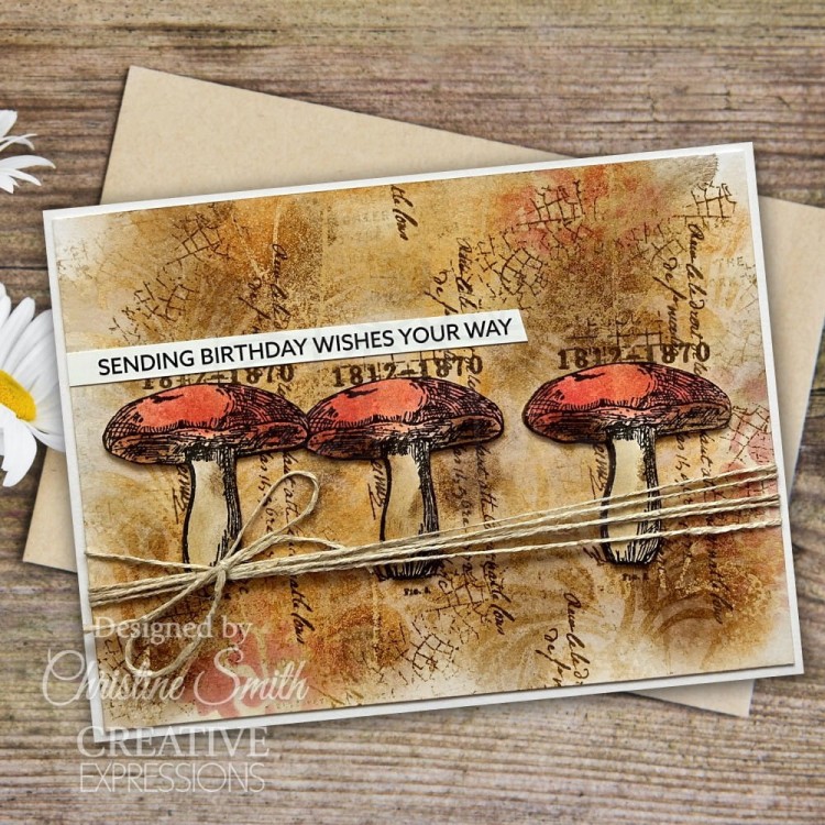 Stempel akrylowy 15x10cm Snippets Of Nature CEC1029 Creative Expressions