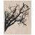 Stempel gumowy Tree Branch Tim Holtz Stampers Anonymous