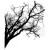 Stempel gumowy Tree Branch Tim Holtz Stampers Anonymous