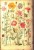 Zestaw papierów do art journalingu 14x20 Botanical 1 kwiaty grzyby retro
