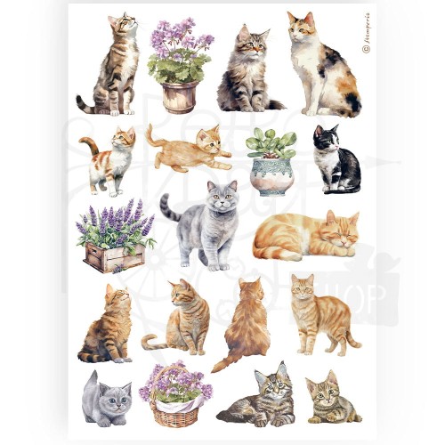 Papier ryżowy do decoupage A4 Best Sellers Kotki DFSA4887 Stamperia