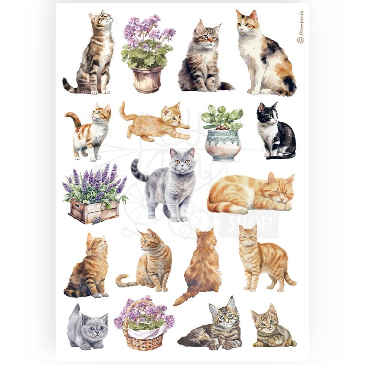 Papier ryżowy do decoupage A4 Best Sellers Kotki DFSA4887 Stamperia