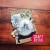 Wykrojniki Ramka filmowa 9x13 CW298 Craft&amp;You Design