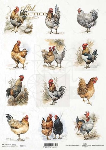 Papier ryżowy do decoupage A4 Kury i koguty R2346 ITD Collection