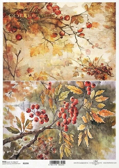 Papier ryżowy do decoupage A4 Jesienne widoczki R2299 ITD Collection