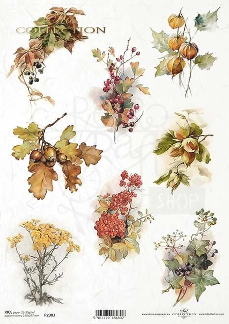 Papier ryżowy do decoupage A4 Jesienne liście R2303 ITD Collection