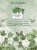 Zestaw papierów 15x20 Color Swatch Willow 18 arkuszy WCS-27907 49 and Market