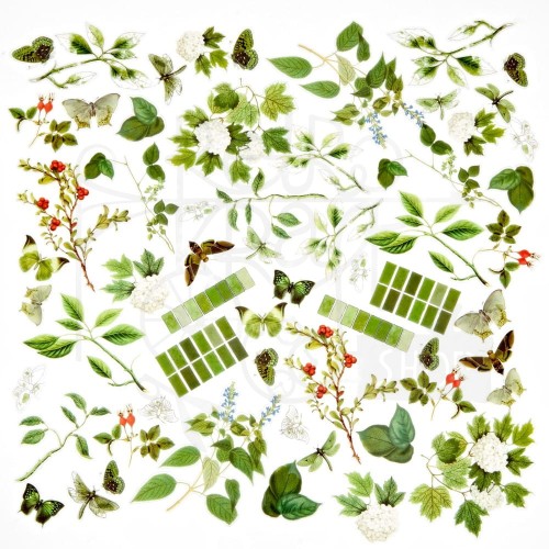 Ozdoby foliowe Color Swatch Willow Acetate Assortment 60szt WCS-28010 49 and Market