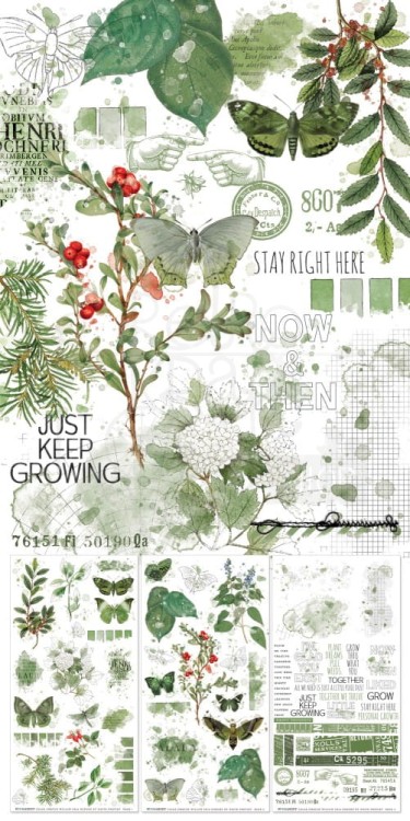 Rub-On Transfer 15x30 Color Swatch Willow 3 arkusze WCS-27976 49 and Market