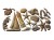 Foremka silikonowa 25x13 Reef Elegance 672126 ReDesign Prima