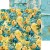 Zestaw papierów do scrapbookingu 20x20 Sunset Mood - Mix CC-C68-SM-09 Craft O'Clock