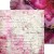 Zestaw papierów do scrapbookingu 20x20 Soulflowers - Mix CC-C67-SS-09 Craft O'Clock