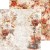 Zestaw papierów do scrapbookingu 20x20 Autumnaria - Mix CC-F33-AA-09 Craft O'Clock