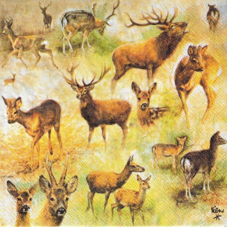 Serwetka 33x33 - Jelenie
