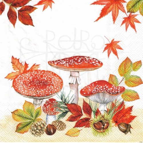 Serwetka 33x33 - Grzyby muchomory liście i szyszki